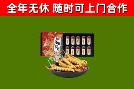 江都区烟酒回收冬虫夏草礼盒.jpg